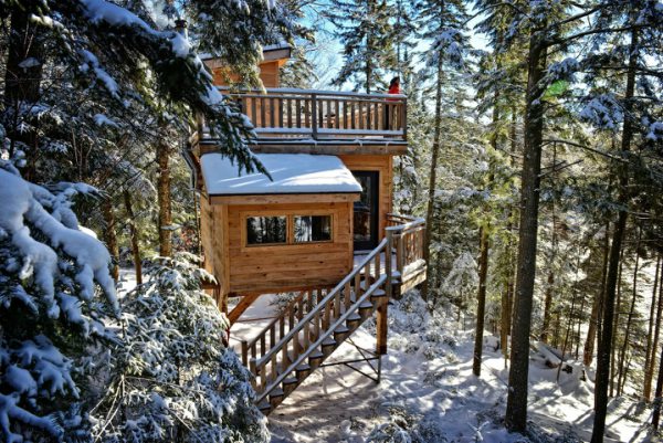 Дом на дереве в снегу