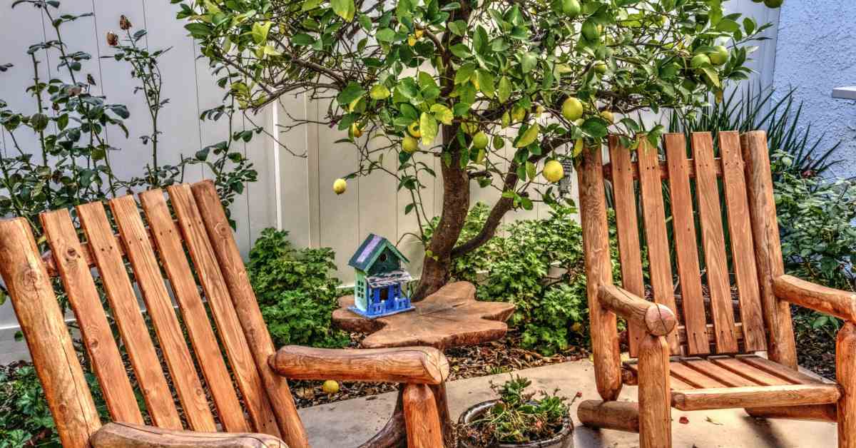 Лимонный куст и деревянный садовый набор