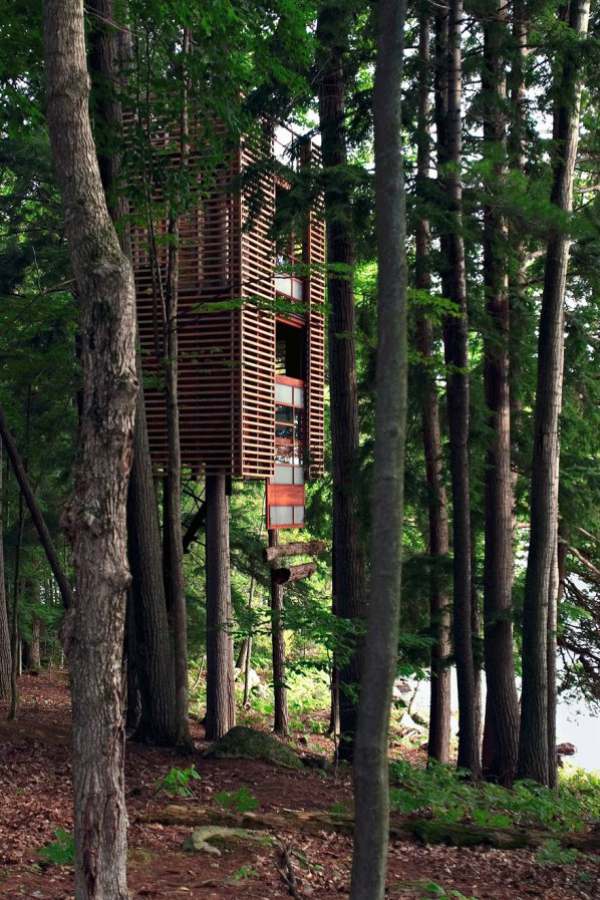 Гладкий домик на дереве