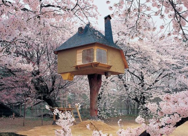 японский дом на дереве