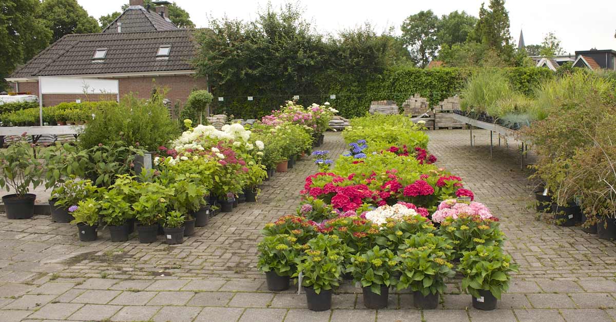 садовый центр в Нидерландах