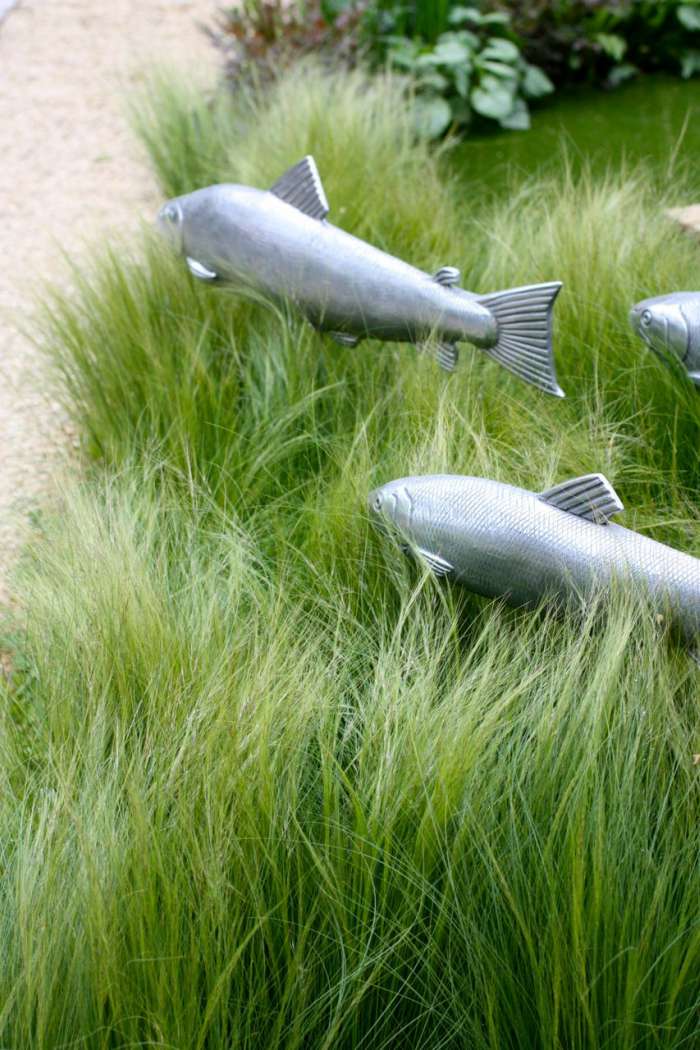 Рыба в траве