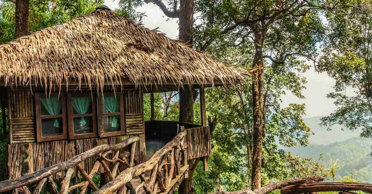 Создание дома на дереве: 21 самый красивый дом на дереве