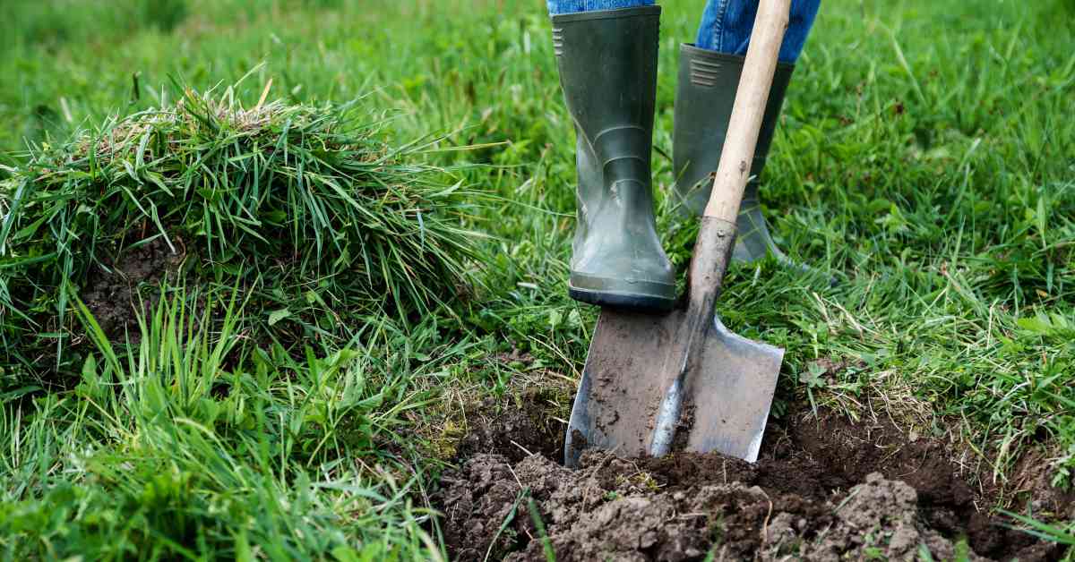 выкопать посадочную яму