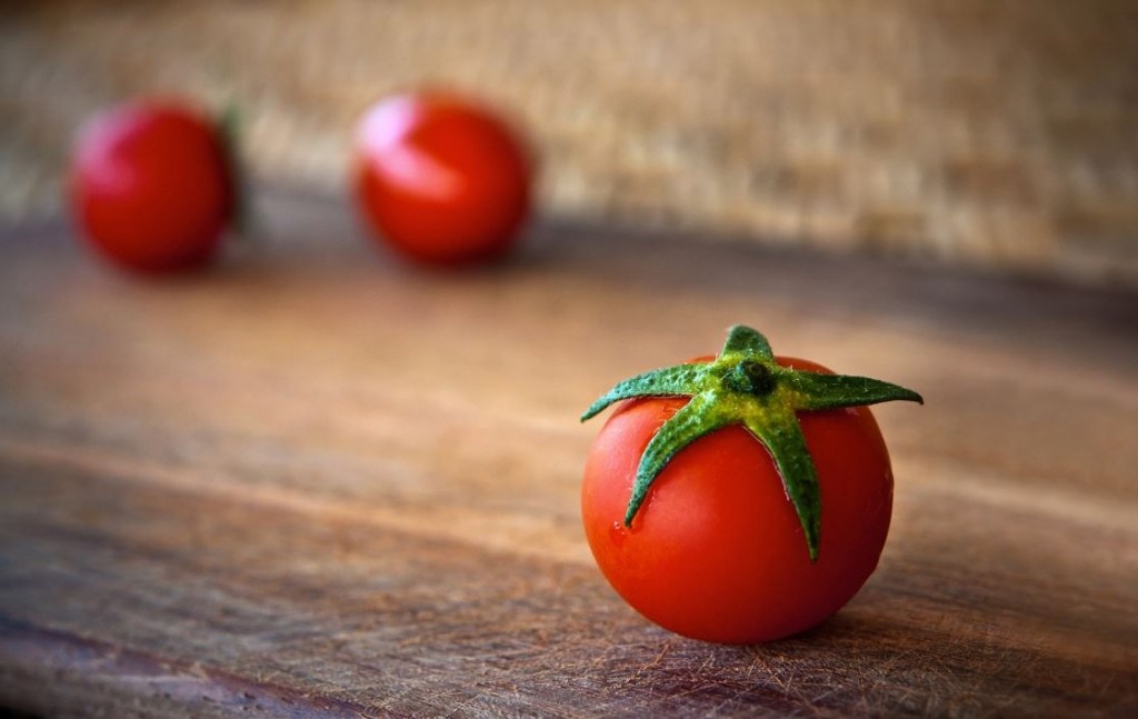 Выращивание томатов самостоятельно: советы для начала