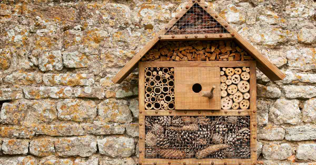 Создание пчелиного отеля