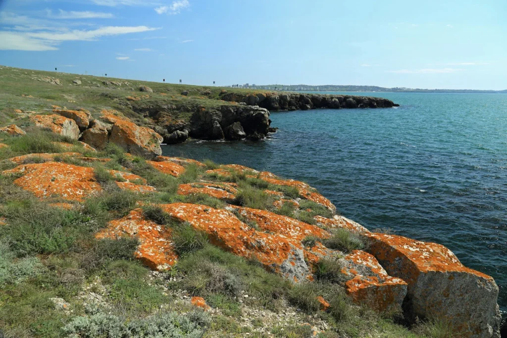 Флора и фауна мыса Казантип (Крым)