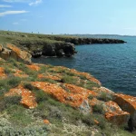 Флора и фауна мыса Казантип (Крым)
