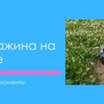 Скважина на воду на дачном участке разбираем важные моменты